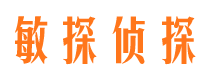 阳城侦探公司